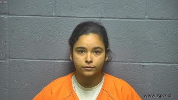 Jordan Nicole Turner Mugshot