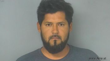 Juan Martin Botello-diaz Mugshot