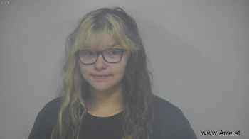 Julie Ann Moore Mugshot