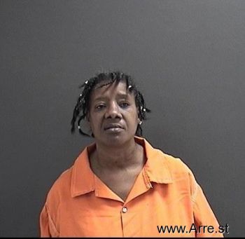 Karen Sue Johnson Mugshot