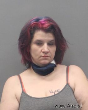 Kristy Sue Johnson Mugshot