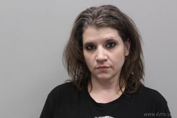 Kristy Sue Johnson Mugshot