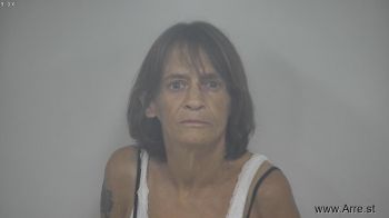 Lisa Ann Powell Mugshot