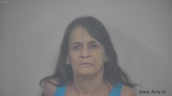 Lisa Ann Powell Mugshot