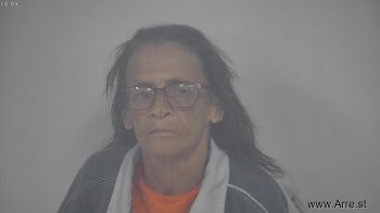 Lisa Ann Powell Mugshot