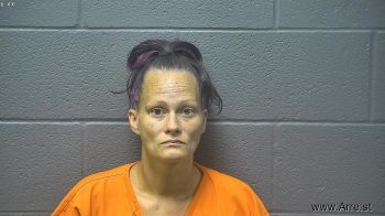 Lisa Michelle Spencer Mugshot