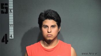 Luis Gerardo Garrido-gonzalez Mugshot