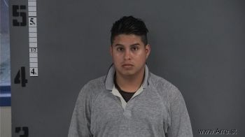 Luis Gerardo Garrido-gonzalez Mugshot