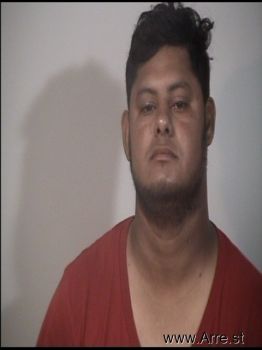 Luis Fernando Gomez Mugshot