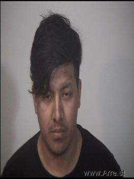 Luis Jordan Morales Jerez Mugshot