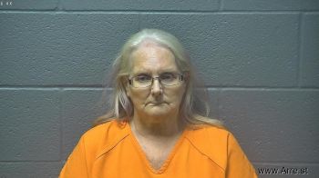 Michele Arlene Lane Mugshot