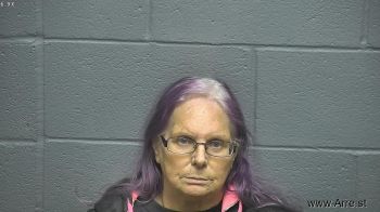 Michele Arlene Lane Mugshot