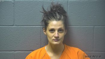 Michelle Lee Stocking Mugshot