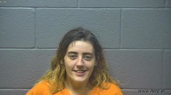 Morgan Nicole Courtney Mugshot