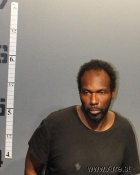 Nekita Antonio White Mugshot