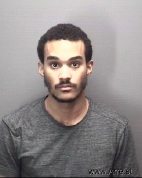 Nicholas Kelly Williamson Mugshot