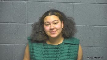 Robin Marie Fisher Mugshot