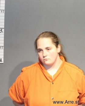 Sarah Lindsey Skowronski Mugshot