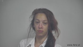 Sarah Lynette Walkowiak Mugshot