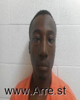 Shawn Maurice Carter Jr Mugshot