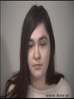 Sarah Ann Price Mugshot