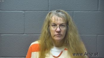 Tammy Lynn Jenkins Mugshot