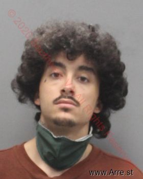 Tyler Payne Rose Mugshot