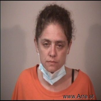 Tami Lynn Hinton Mugshot