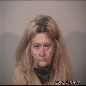 Tammy Jo Johnson Mugshot