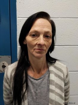 Teresa Ann Littlefield Mugshot