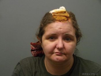 Vanessa Jean Shepard Mugshot