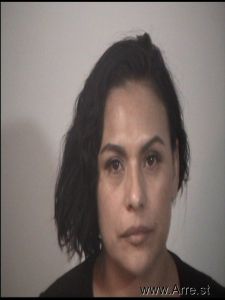 Claudia Avila Melo Arrest