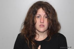 Karin Zeigler Arrest Mugshot