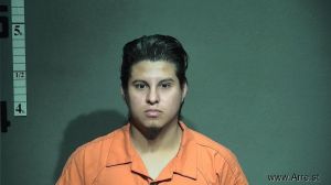 Luis Garrido-gonzalez Arrest Mugshot