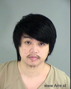 Viet Vo Arrest Mugshot