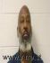 VERNON POPE JR Arrest Mugshot Richmond 12/22/2020