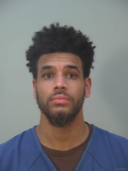 Alexander James Johnson Mugshot