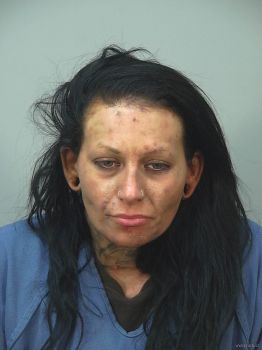 Amanda Lynn Hartwig Mugshot