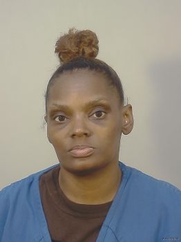 Amanda Marie Mason Mugshot