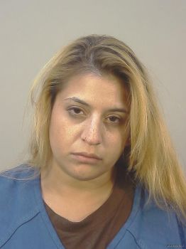 Anna Gabriela Torres Mugshot