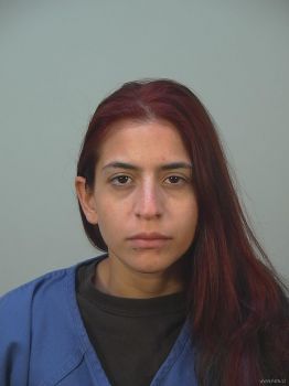 Anna Gabriela Torres Mugshot