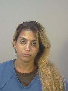 Anna Gabriela Torres Mugshot