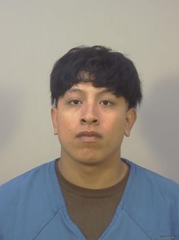 Armando N\/a Ramirez Cuautle Mugshot