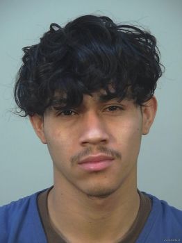 Arnold Fabian Martinez Herrera Mugshot