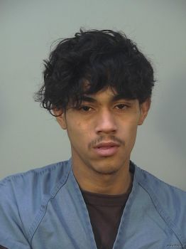 Arnold Fabian Martinez Herrera Mugshot