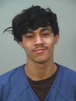 Arnold Fabian Martinez Herrera Mugshot