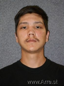 Brandon H Pham Mugshot