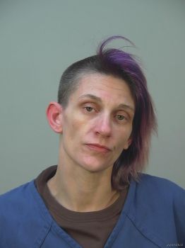 Brandy M Williams Mugshot