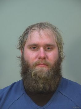 Brett Michael Brown Mugshot