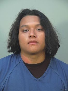 Brian N\/a Reyes Mugshot